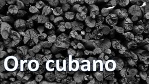 Lee más sobre el artículo Marabú: de plaga a carbón exportable